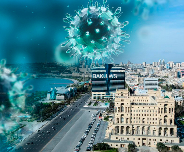 Названы возможные сроки появления в Азербайджане быстро распространяющегося вируса - ВИДЕО