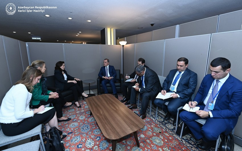 Глава МИД проинформировал генсека Совета Европы об антитеррористических мероприятиях Азербайджана