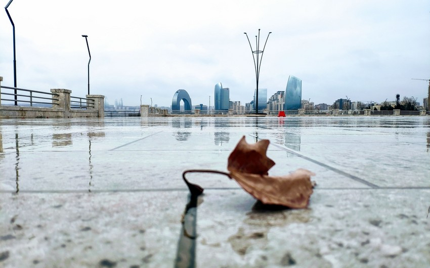 Сильный ветер вызвал ряд негативных последствий в Баку - ВИДЕО