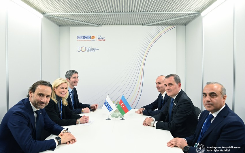 Обсуждены вопросы сотрудничества между Азербайджаном и ПА ОБСЕ