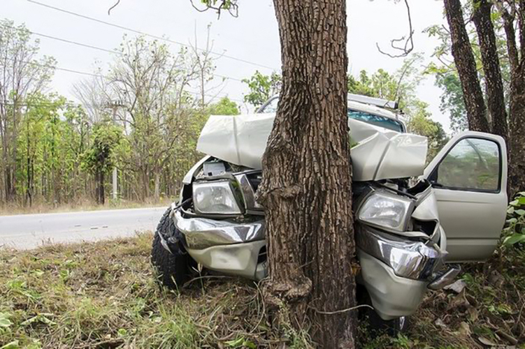 В Зардабе автомобиль врезался в дерево, есть погибший