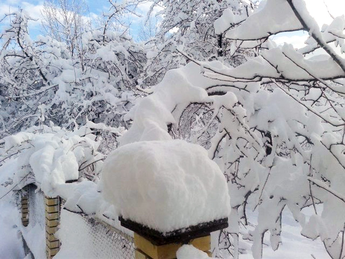 Высота снежного покрова в Гахе достигла 22 см - ФАКТИЧЕСКАЯ ПОГОДА