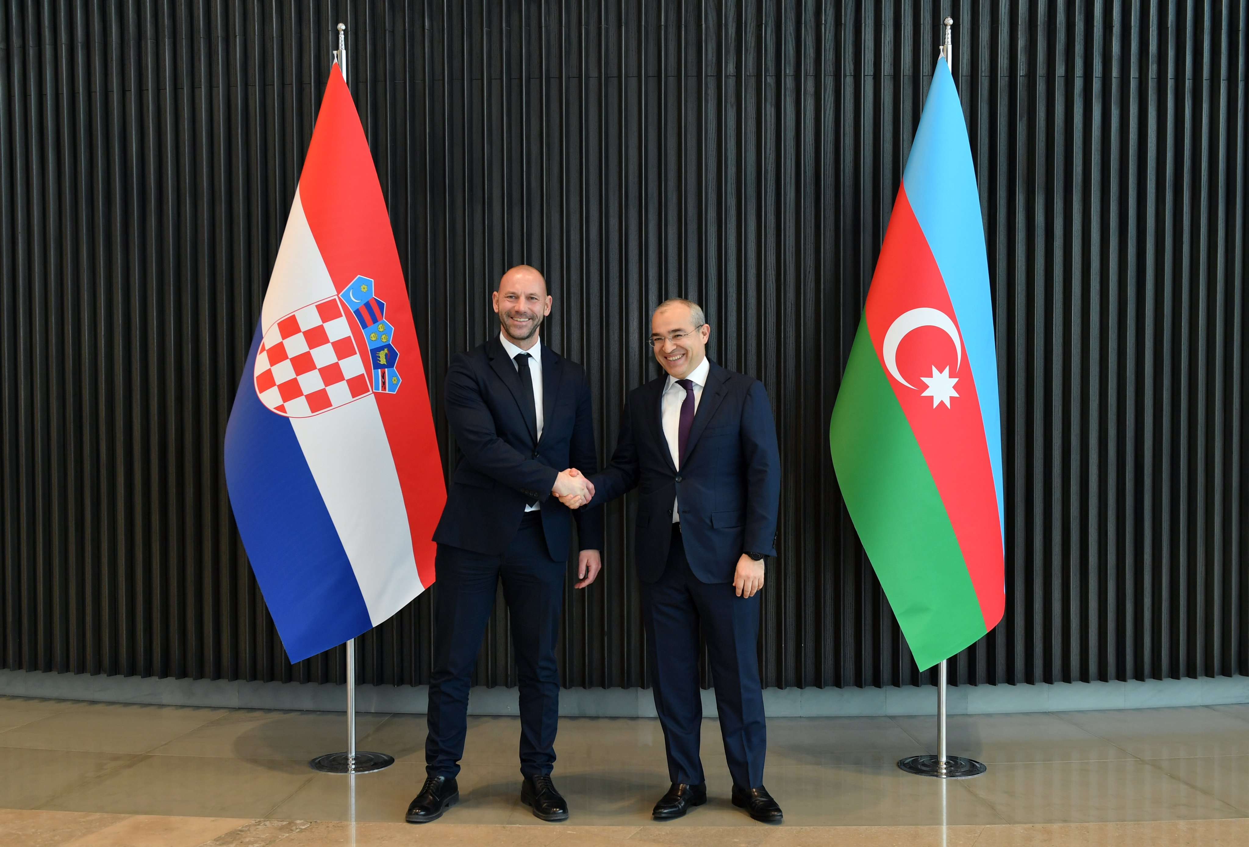 Обсуждены приоритеты экономического сотрудничества между Азербайджаном и Хорватией - ФОТО