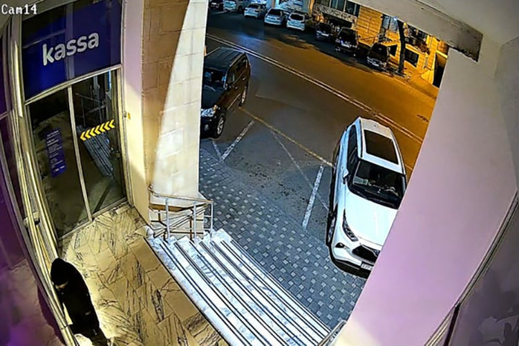 В Баку предотвращена попытка ограбления банка - ВИДЕО
