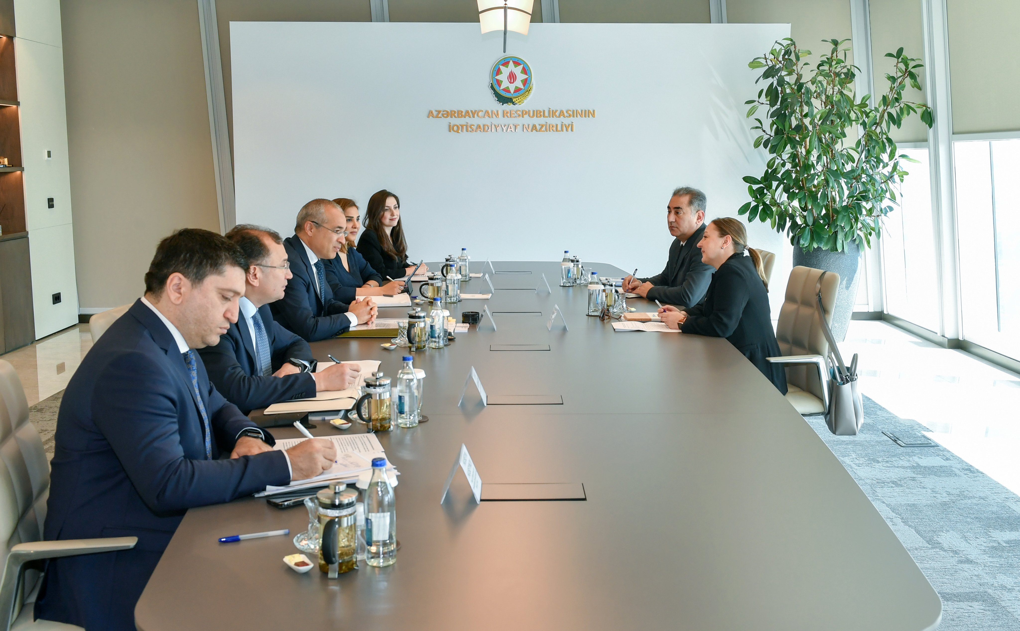 Министр встретился с и.о. резидента-представителя ПРООН в Азербайджане - ОБНОВЛЕНО + ФОТО