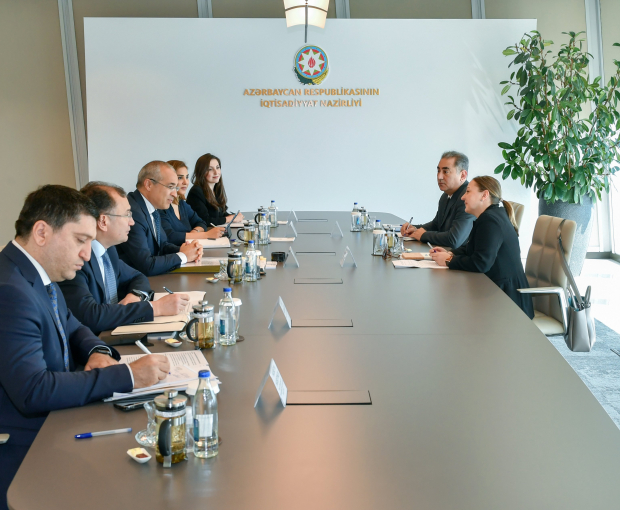 Министр встретился с и.о. резидента-представителя ПРООН в Азербайджане - ФОТО
