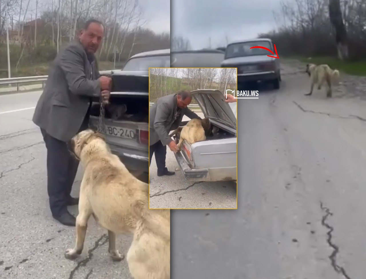В Шамахы мужчина привязал собаку к автомобилю и пытался протащить ее по дороге - ВИДЕО