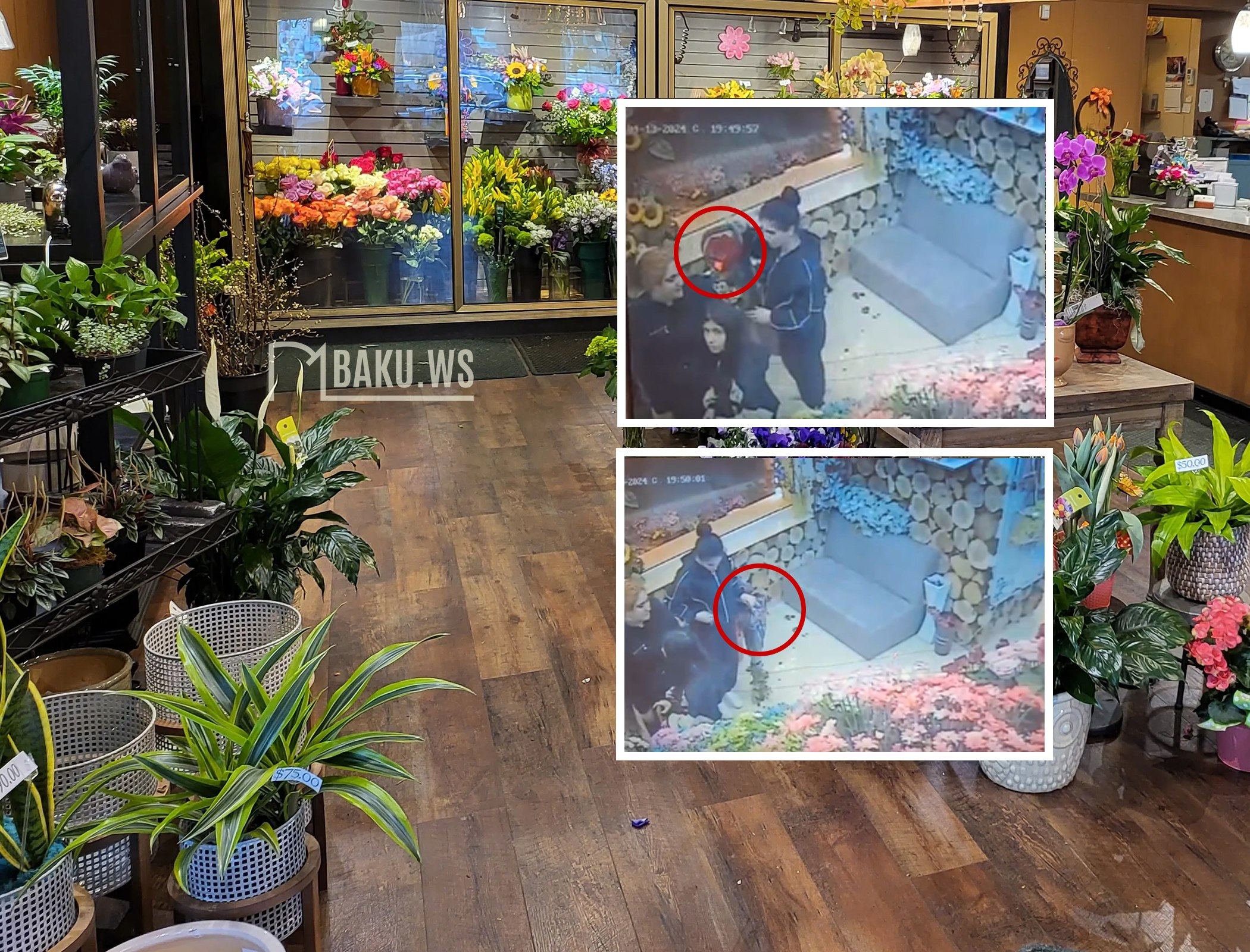 Из цветочного магазина в Баку украли букет стоимостью 150 манатов - ВИДЕО