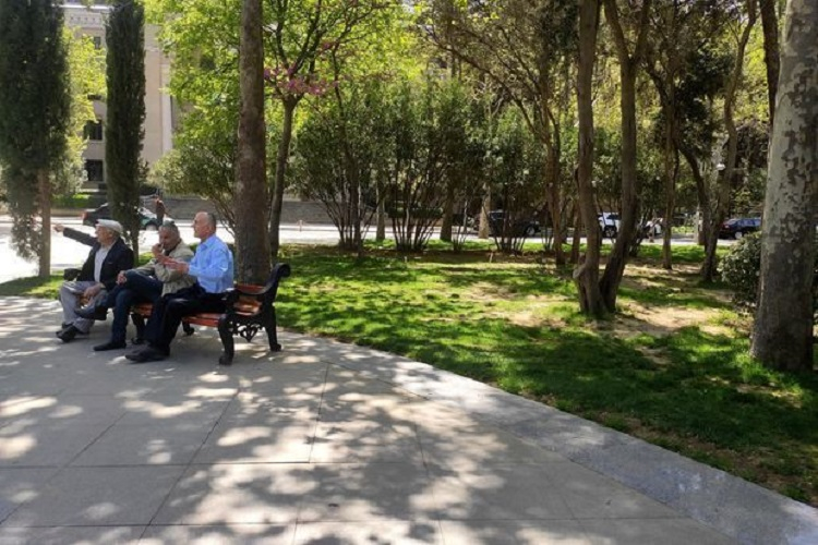 Куда исчезли скамейки в парке перед академией наук? - ЗАЯВЛЕНИЕ + ФОТО