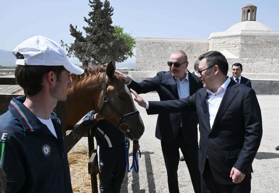 Ильхам Алиев подарил президенту Кыргызстана карабахского скакуна - ФОТО