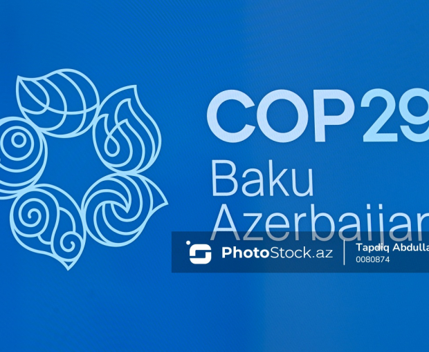 В Азербайджане в связи с COP29 определяются налоговые льготы и льготы по НДС