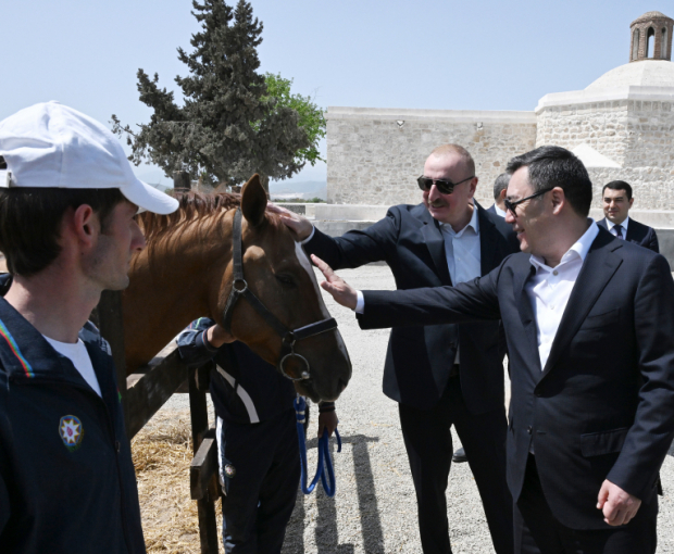 Ильхам Алиев подарил президенту Кыргызстана карабахского скакуна - ФОТО