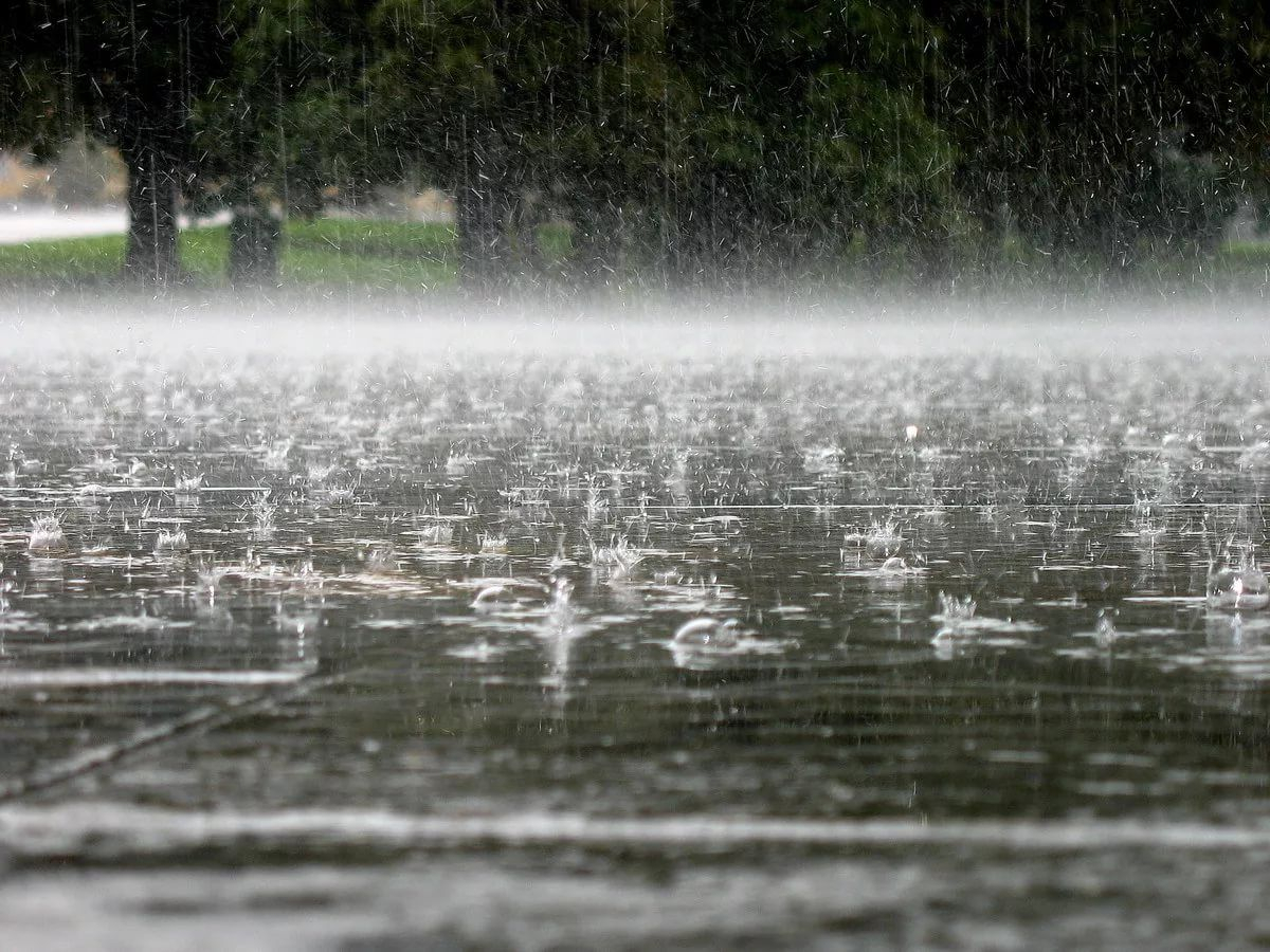 Прогноз погоды на завтра: синоптики обещают дожди и грозы