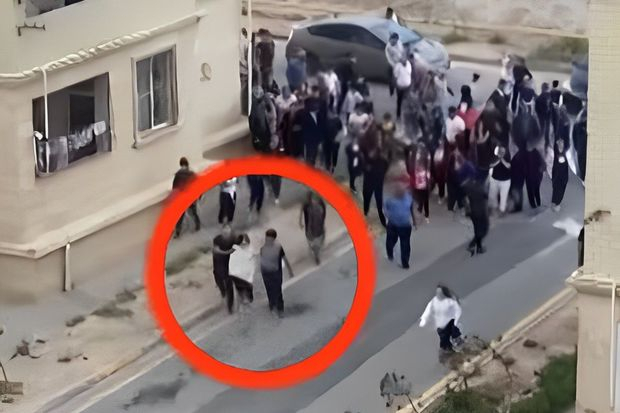 Подробности жуткого происшествия в Баку: собаки напали на 11-летнюю девочку - ВИДЕО