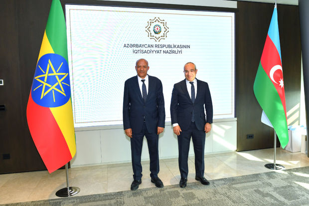 Микаил Джаббаров встретился с заместителем премьер-министра Эфиопии - ФОТО