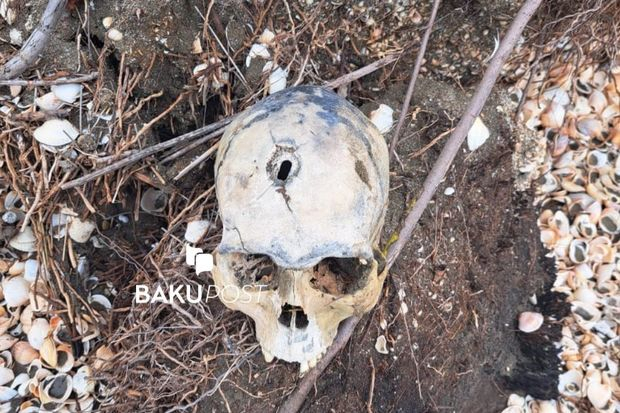 В Нефтчалинском районе обнаружен человеческий череп с пулевым отверстием - ФОТО