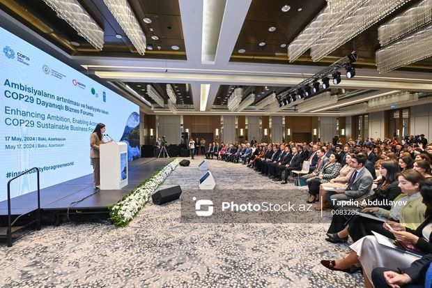 В Баку стартовала конференция, посвященная COP29 - ФОТО