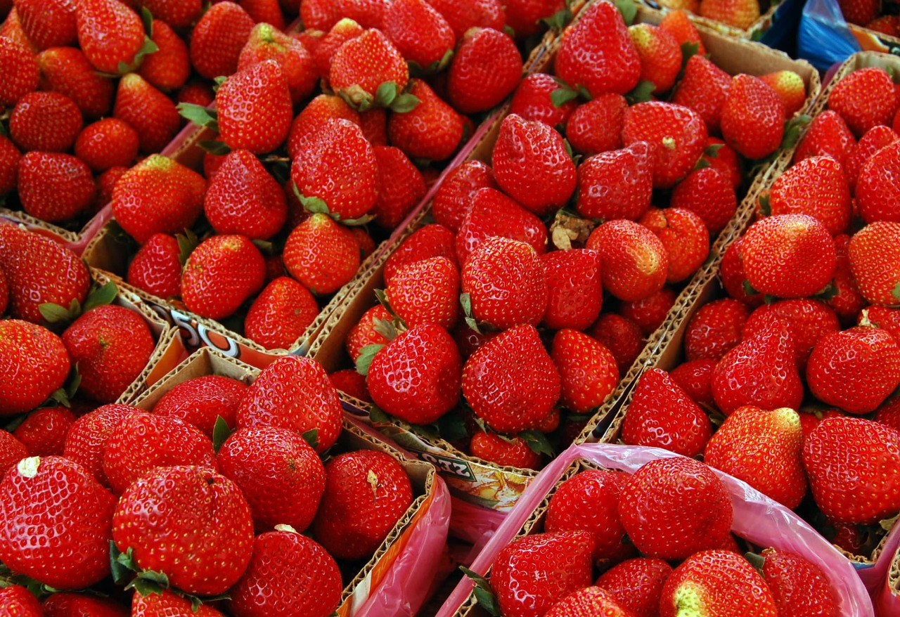 Опасность в ягодах: важное ПРЕДУПРЕЖДЕНИЕ о клубнике