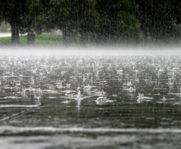 Прогноз погоды на завтра: синоптики обещают дожди и грозы