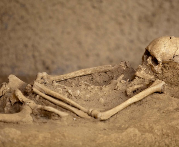 В Губадлы обнаружены фрагменты костей