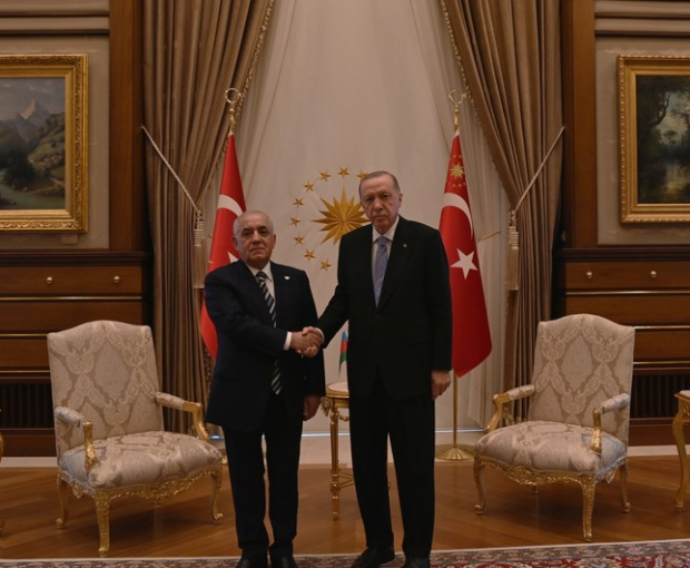 Али Асадов передал Эрдогану приглашение на COP29