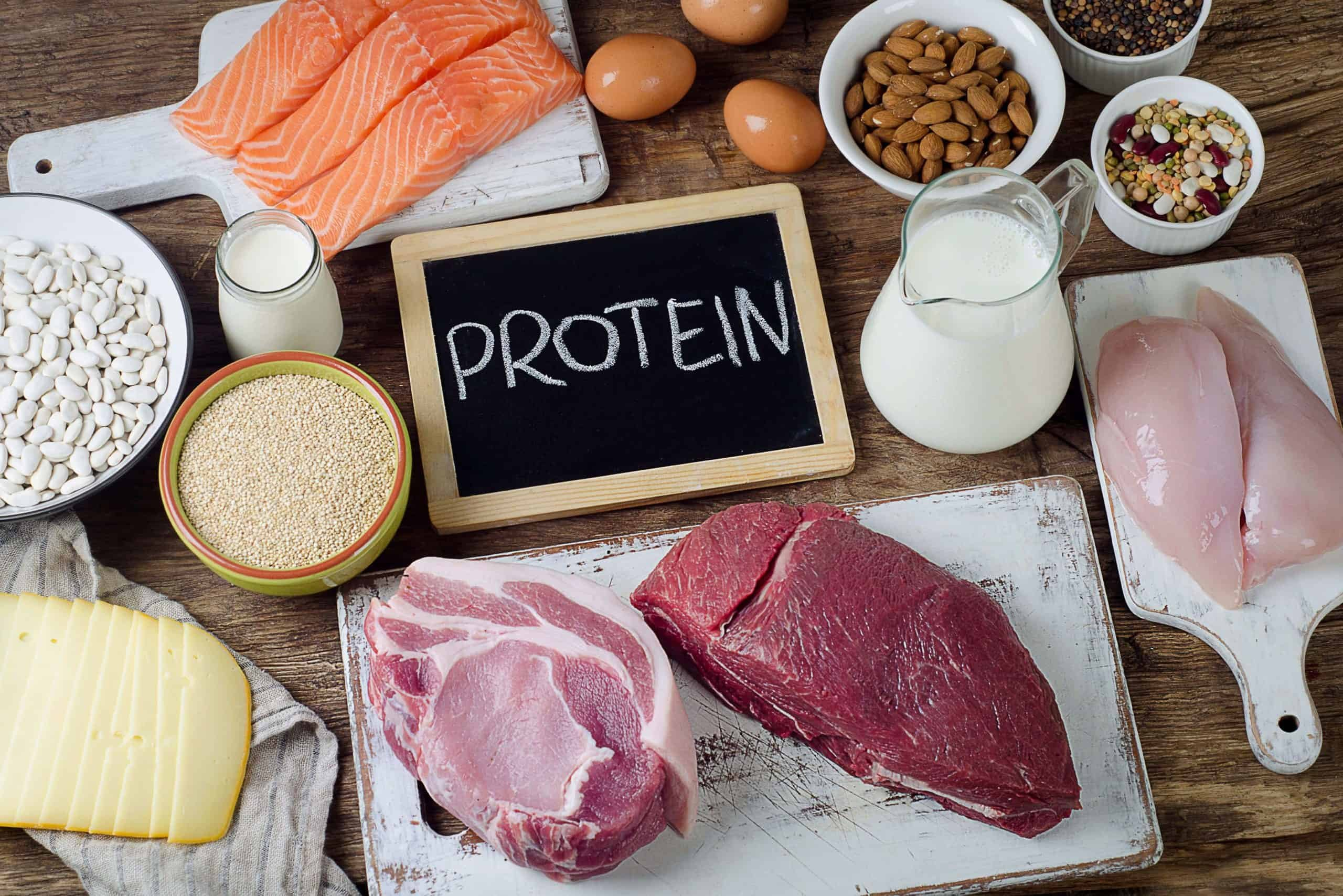 Ученые выяснили, как белковая диета помогает контролировать аппетит
