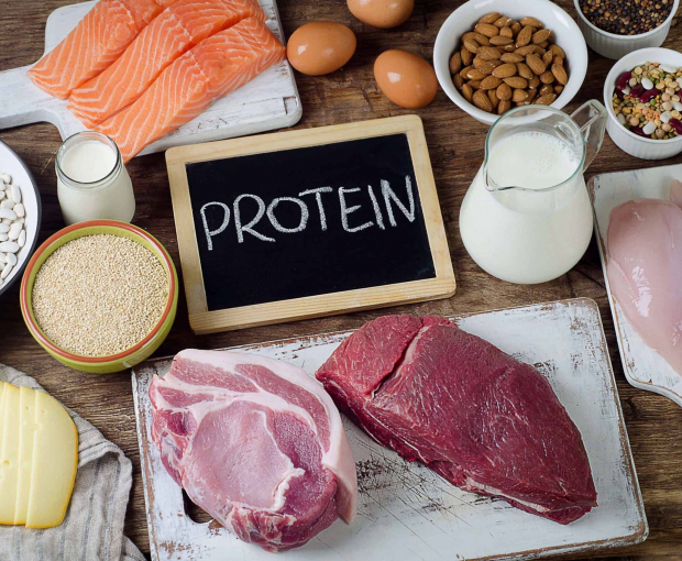 Ученые выяснили, как белковая диета помогает контролировать аппетит